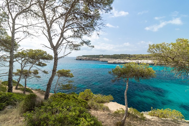 Free Mallorca Holiday photo and picture