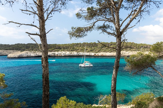 Free Ocean Blue Water photo and picture