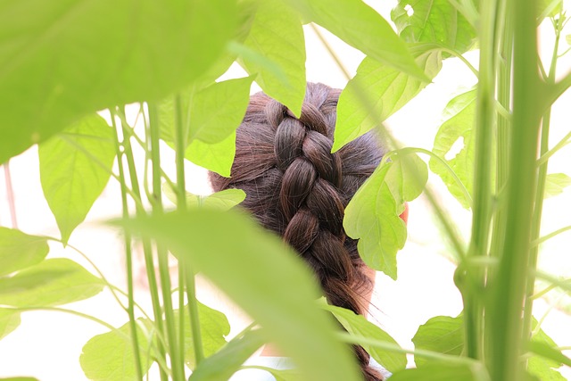 Free Leaves Foliage photo and picture
