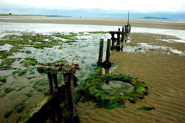 Free Sea Cost photo and picture