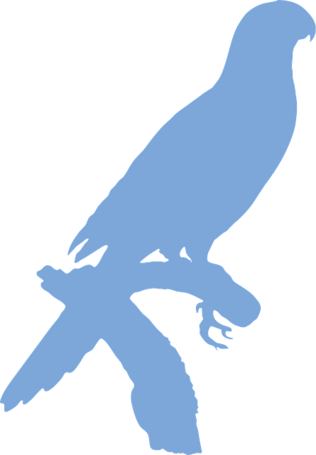Free crimson shining parrot silhouette perched vector