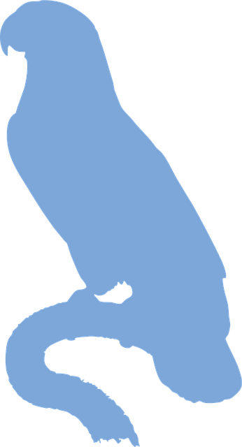 Free great-billed parrot silhouette perched vector