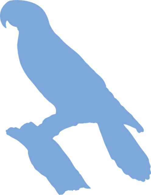 Free great-billed parrot silhouette perched vector