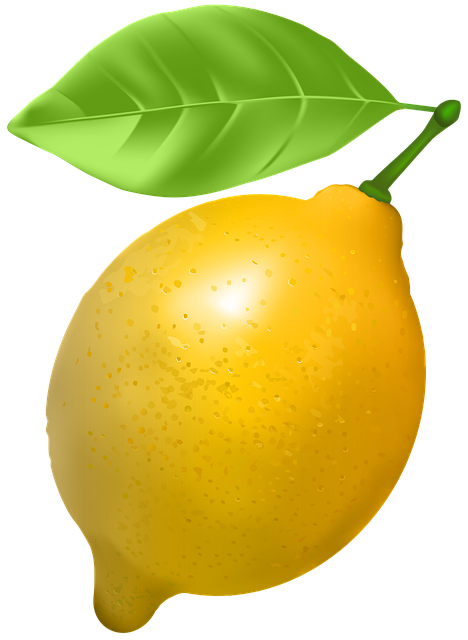 Free Lemon Citrus illustration and picture