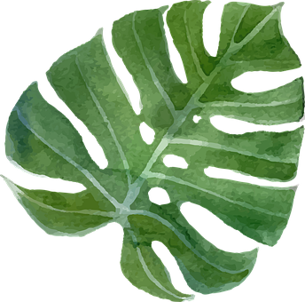 Free Leaf Foliage illustration and picture