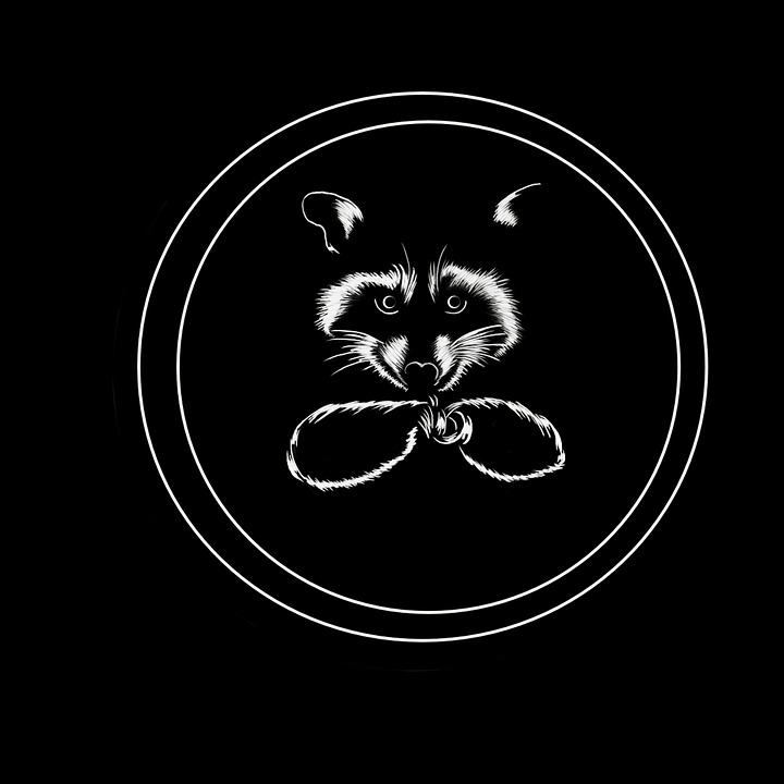 Text Effect Raccoon Raccoon Animal Line Art - Free image on Pixabay