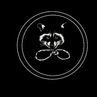 Free Raccoon Animal illustration and picture