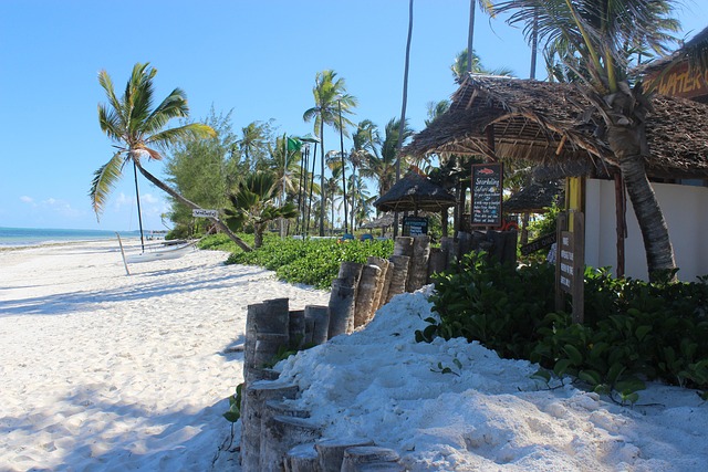 Direkt Am Strand, Palmen, Gemütlich