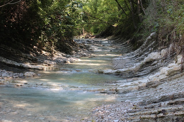 Free Mountain Stream Nature photo and picture