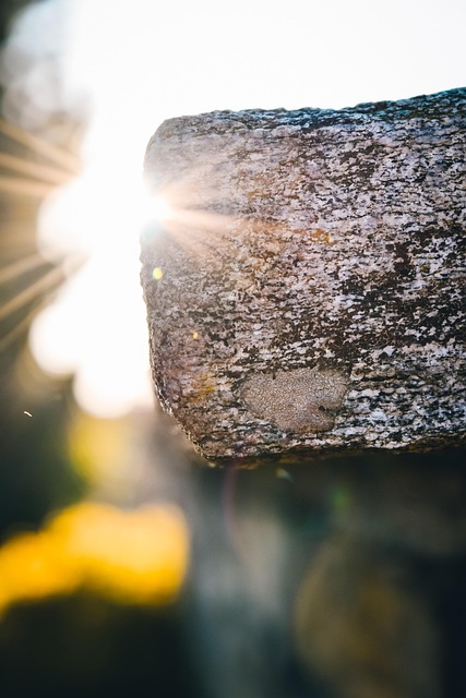 Zon, Natuur, Zonsondergang, Landschap