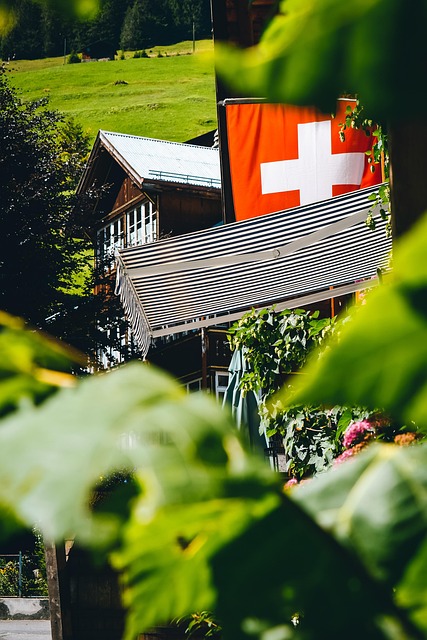 Zwitserland, Natuur, Alpen, Bergen