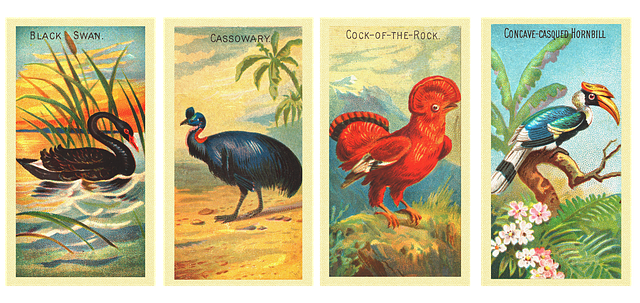 Free birds retro vintage illustration
