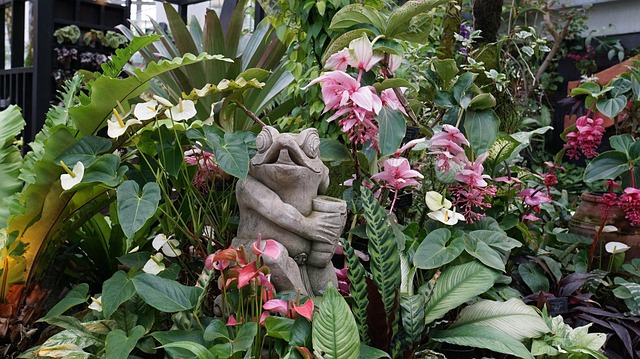 Spectacol De Flori, Plante Ornamentale