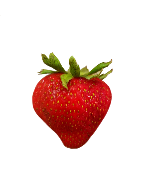 Free Strawberry Fruit illustration and picture