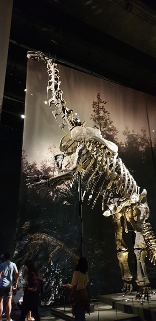 Free Camarasaurus Dino photo and picture