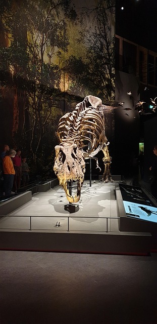Free Tyrannosaurus T-Rex photo and picture