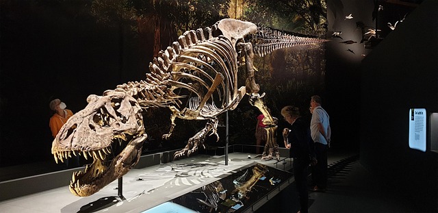 Free Tyrannosaurus T-Rex photo and picture