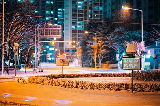 Free Winter Snow photo and picture