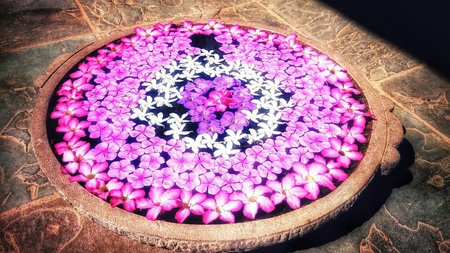 Free Flowers Pink photo and picture