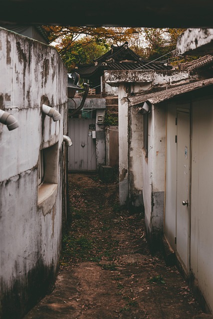 Free Alley Rustic photo and picture