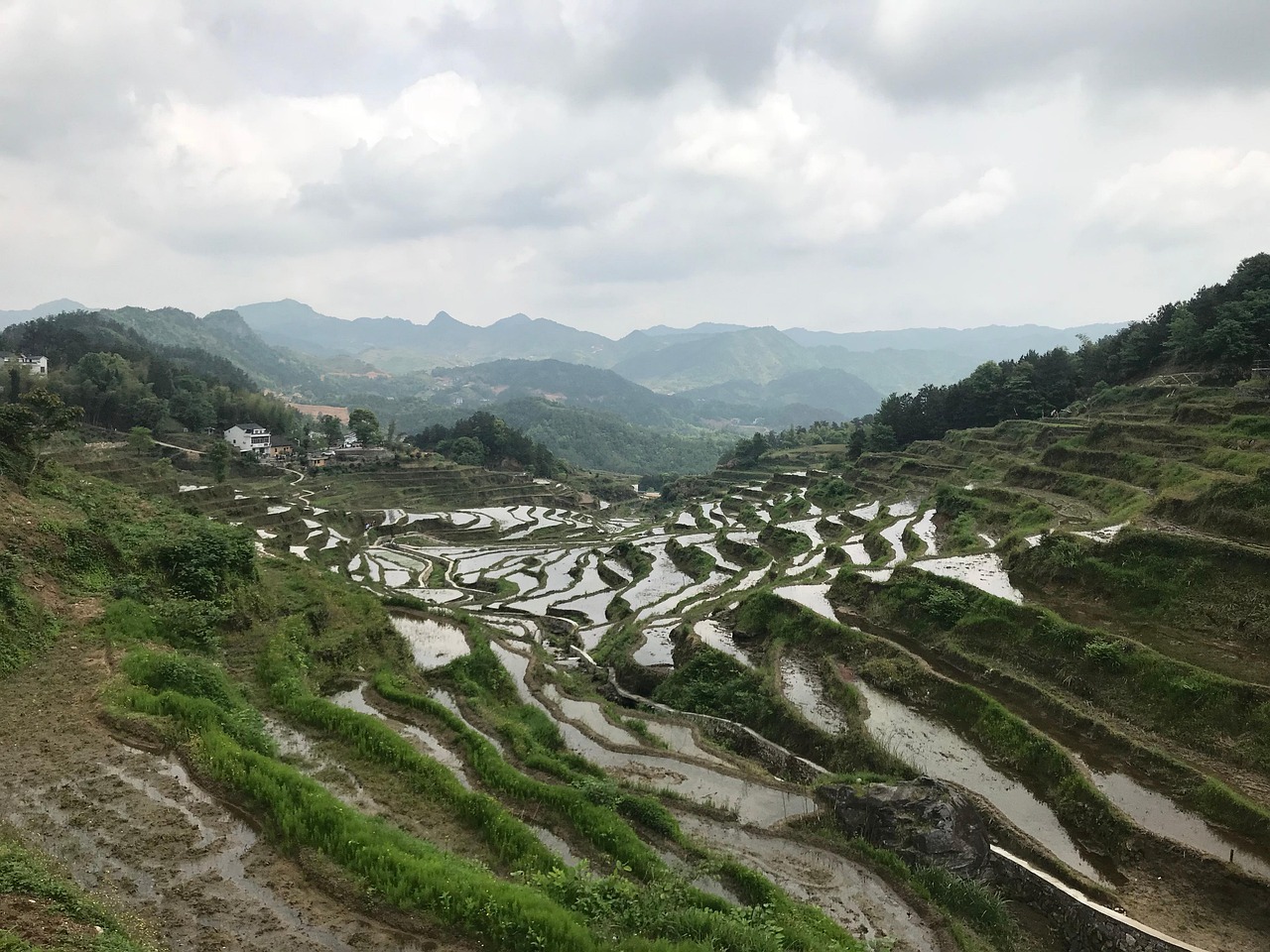 稻田 水稻梯田 农田 - Pixabay上的免费照片 - Pixabay
