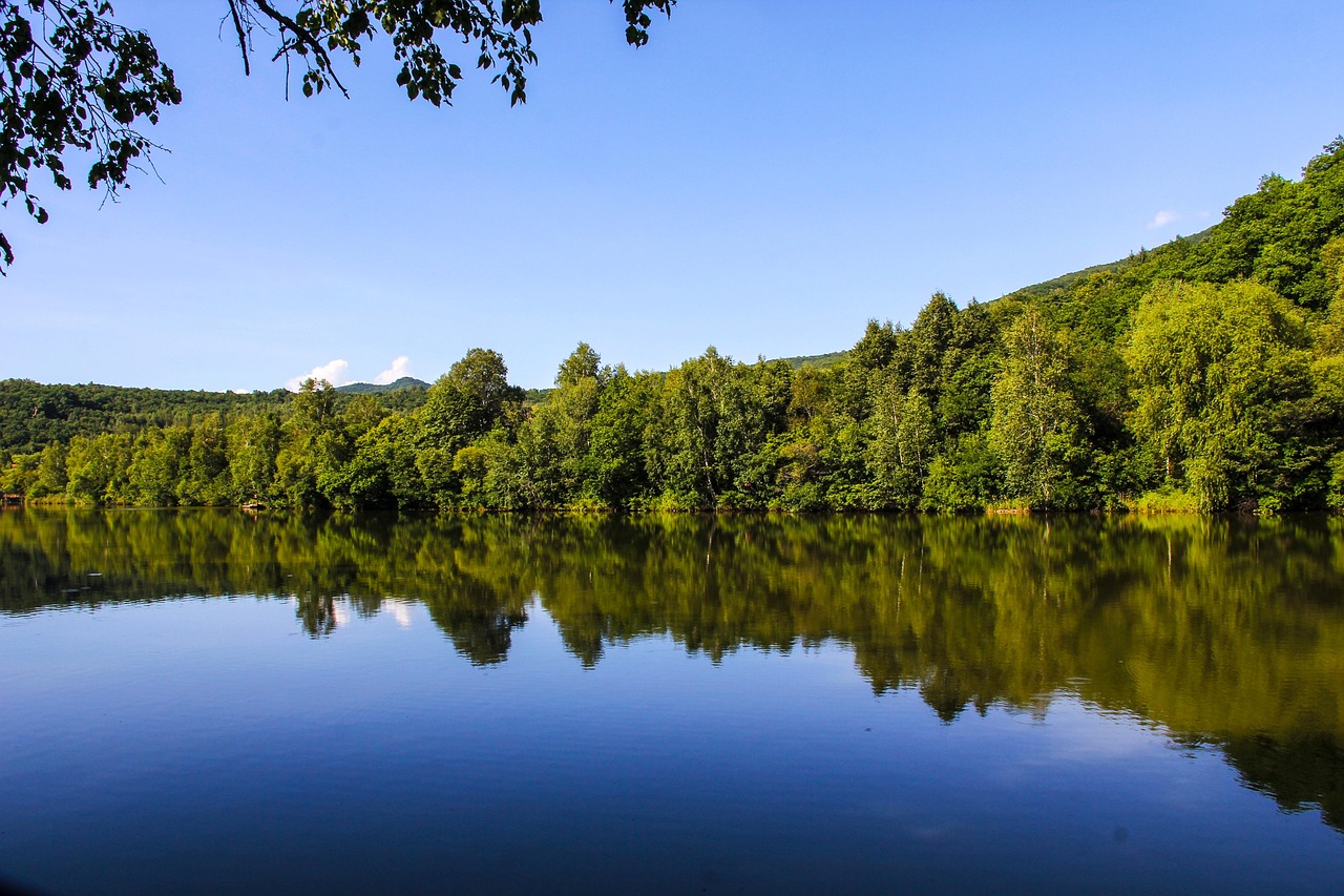 See Natur Wald - Kostenloses Foto auf Pixabay - Pixabay