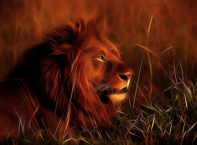 Free lion nature animal illustration