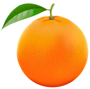 Free Orange Fruit illustration and picture