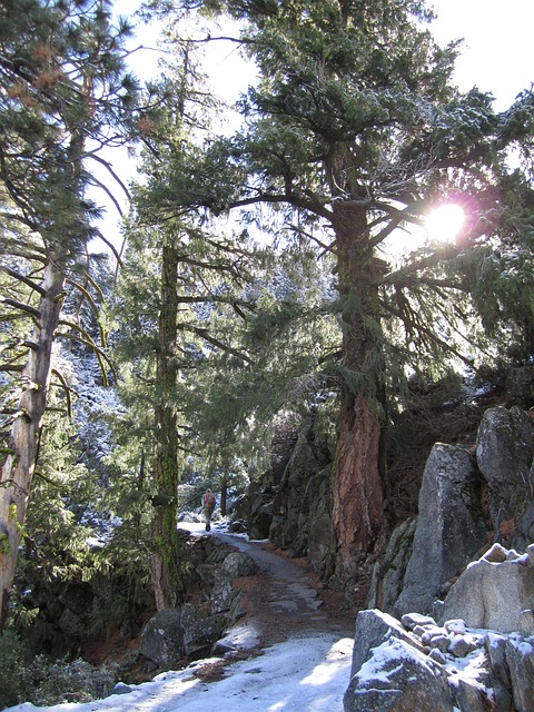 Free Hike Hiking photo and picture