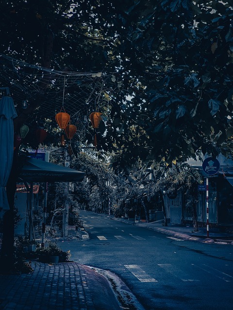 Free Street Outdoors photo and picture