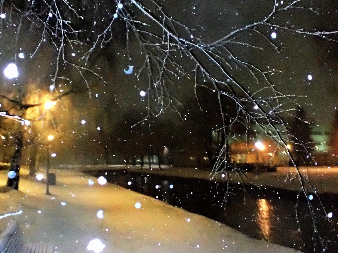 雪が降る 冬 雪 - Pixabayの無料写真 - Pixabay