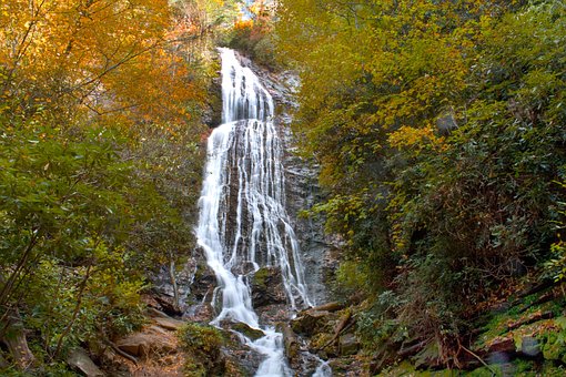 Free Waterfall Falls photo and picture
