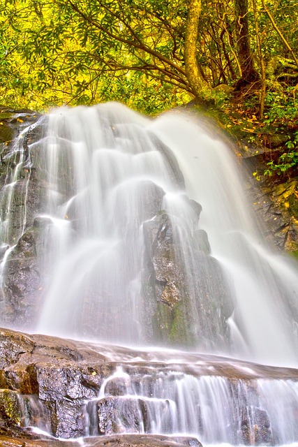 Free Waterfall Falls photo and picture