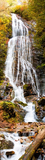 Free Waterfall Nature photo and picture
