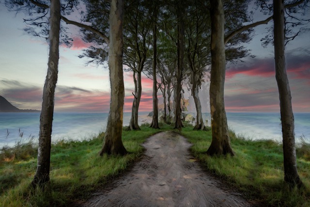 Free path ocean sea illustration