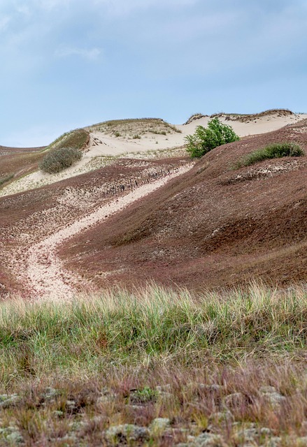 Sable Dunes Désert - Photo gratuite sur Pixabay - Pixabay
