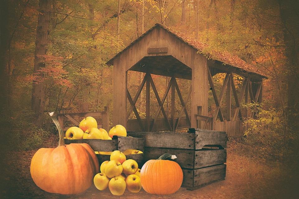 Autumn Harvest Season To - Free photo on Pixabay