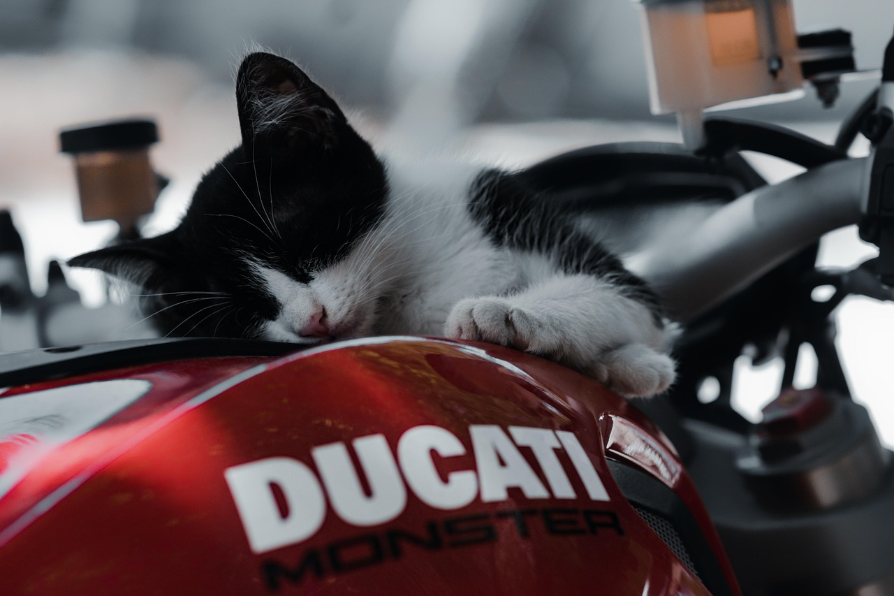 Affordable motorcycle in Ilam, Iran: Market Overview and Legal Buying Guide
