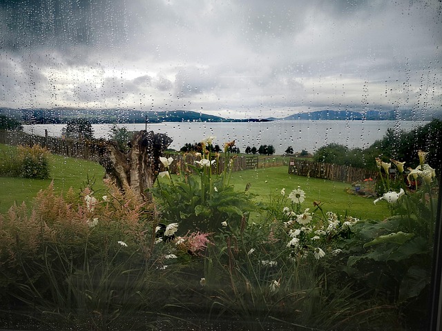 Free Rain Window photo and picture
