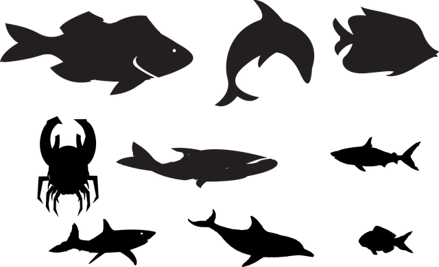Onderwater, Schepsels, Oceaan, Zee