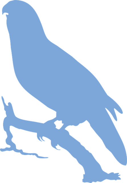 Free parrot bird ornithology vector