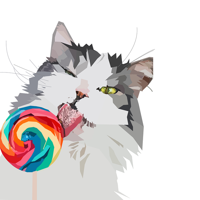 Kat, Katte, Pattedyr, Feline, Kærlighed