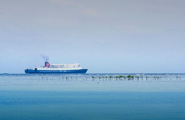 Free Ship Pari Island photo and picture