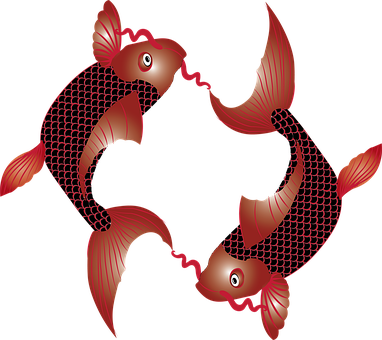 Fische, Karpfen, Koi, Zen, Symbol