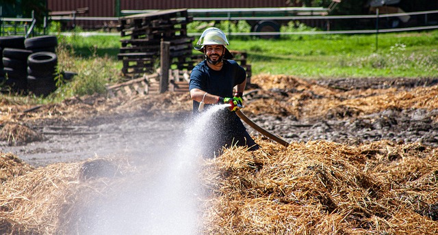 Free Fire Firefighter photo and picture