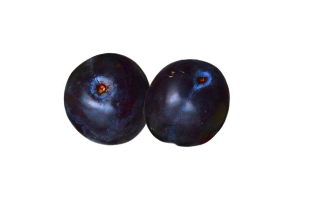 Free Plums Fruit illustration and picture