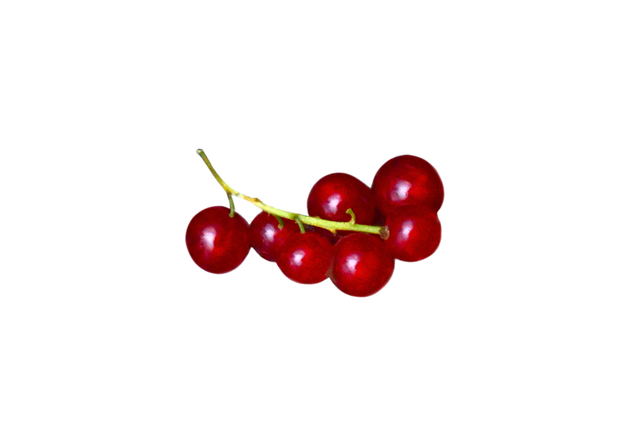 Free Cranberries Fruit illustration and picture