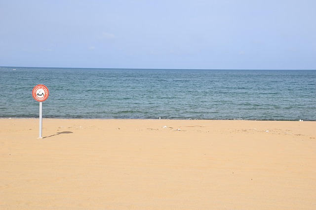 Free Beach Seashore photo and picture