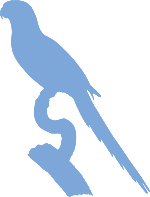 Free yellow-shouldered amazon silhouette perched vector