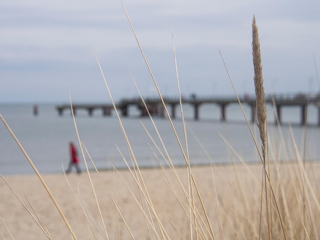 Ostsee, Strand, Küste, Sand, Rügen